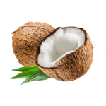 Coconut Ester